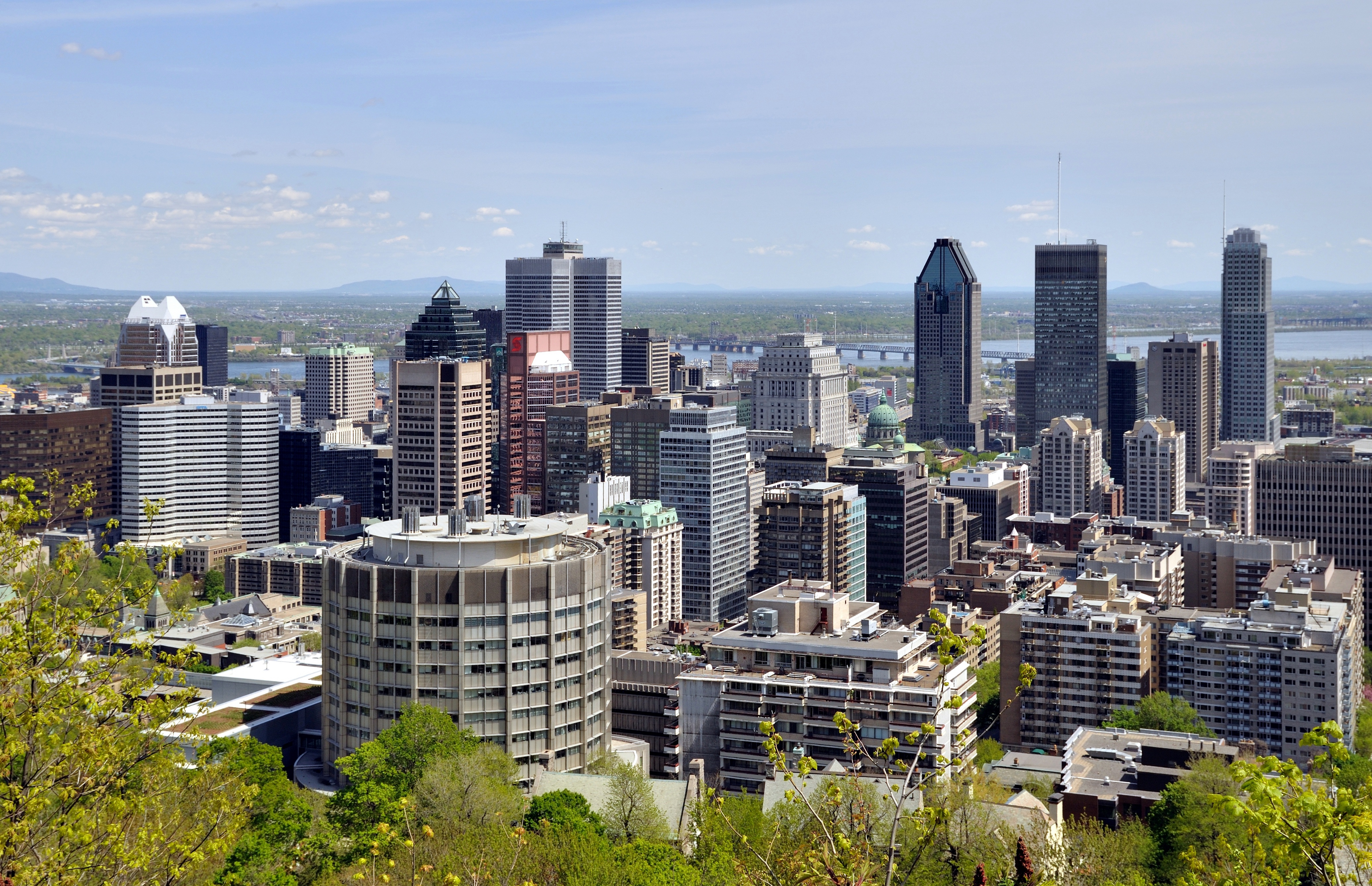 Psychic In Montreal